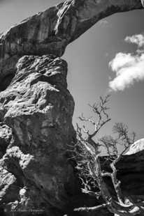 Turret Arch-9775.jpg Turret Arch-9775.jpg